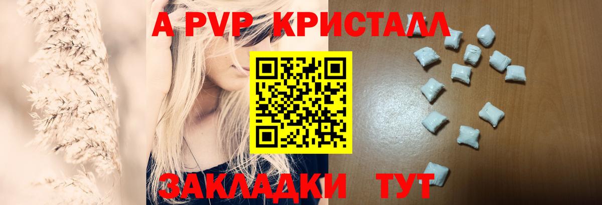 A PVP СК КРИС Богородск