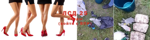 кокс Алексин