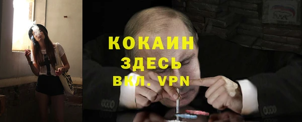 кокс Алексин