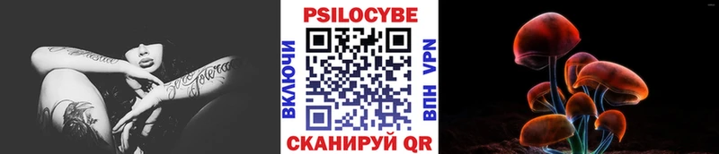 Галлюциногенные грибы Magic Shrooms  купить  сайты  MEGA ONION  Богородск 