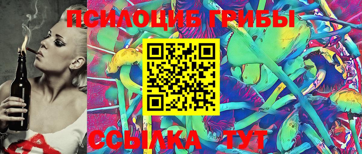 Богородск  Псилоцибиновые грибы Psilocybine cubensis  Вход с VPN 