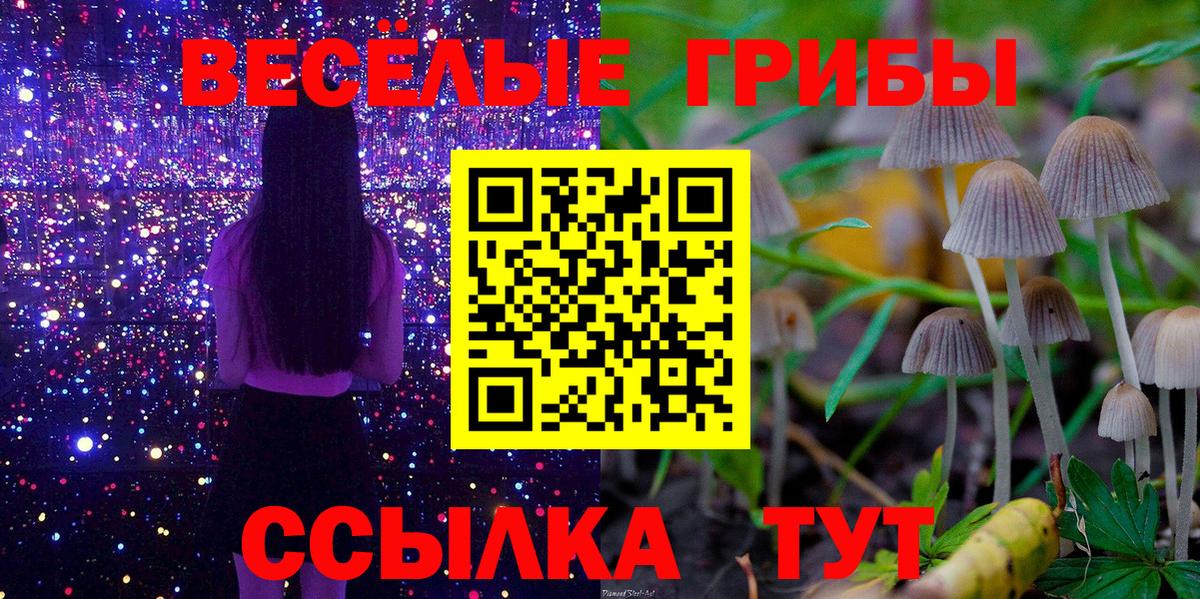 Галлюциногенные грибы мухоморы Богородск